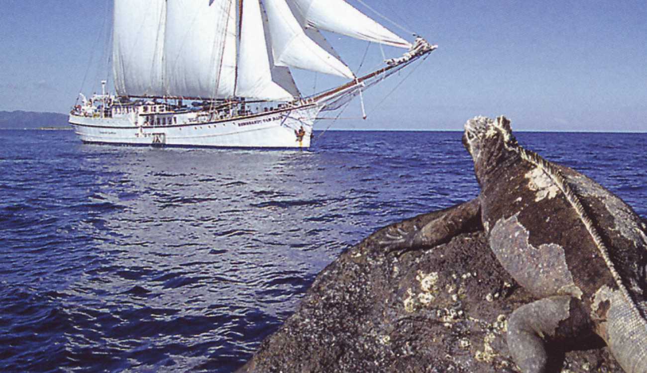 Galapagos Calendar