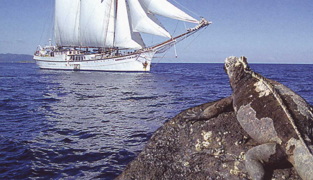 Galapagos expeditions