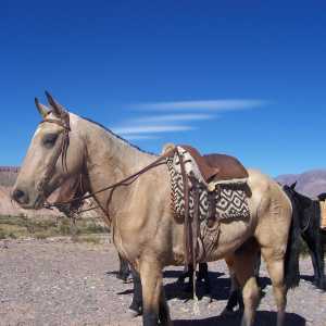 horseback-riding-with-gauchos-northwest-argentina