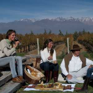 mendoza-wine-tasting-argentina