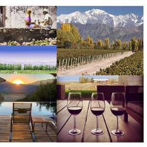 south-america-wine-tasting