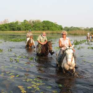 pantanal-horseback-ride-and-wildlife-tour