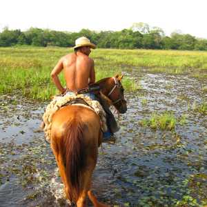 pantanal-horseback-ride-with-local-guide