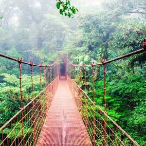 canopy-bridge-costa-rica