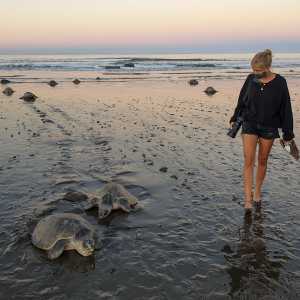 costa-rica-turtles