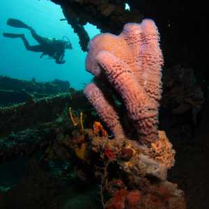 scuba-diving-tailormade-authentic-cuba