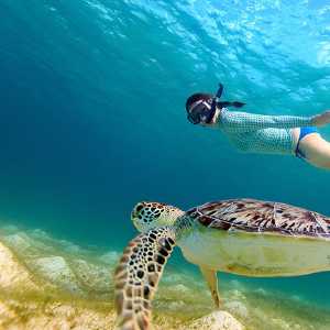 belize-turtle-snorkle