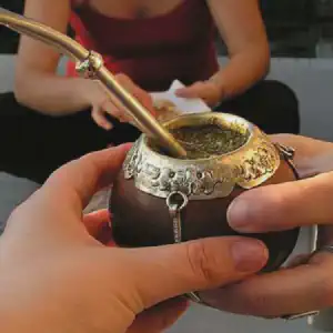 matejpg