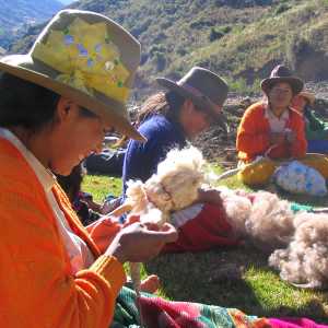 ladies-preparing-alpaca-wool-cordillera-blanca-huaraz