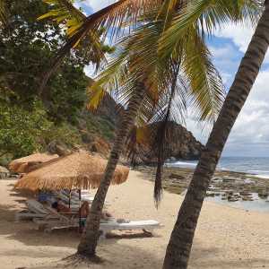 playa-de-cepe-choroni-np-henri-pittier