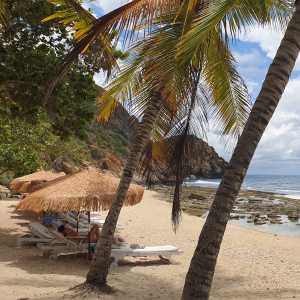 playa-de-cepe-choroni-np-henri-pittier